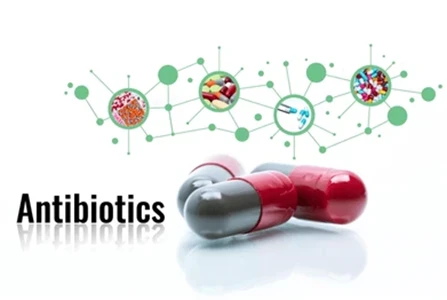 Infection & Antibiotics